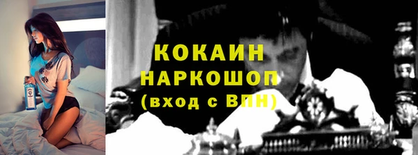 СК Абинск