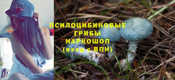 круглые Абаза