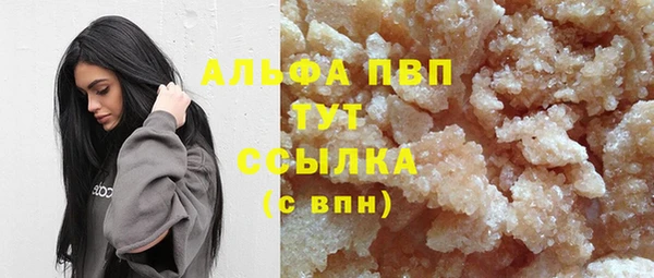 СК Абинск