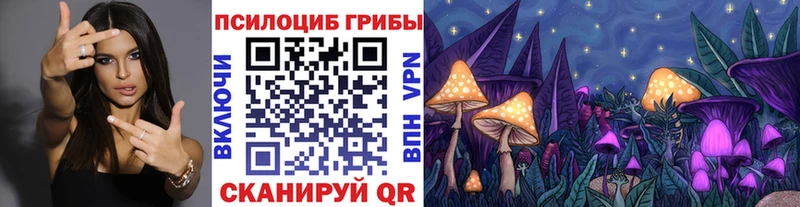 KRAKEN ссылки  Гурьевск  Галлюциногенные грибы Magic Shrooms  даркнет сайт 